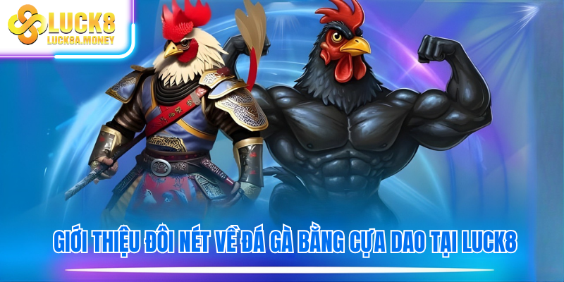Giới thiệu đôi nét về đá gà bằng cựa dao tại luck8